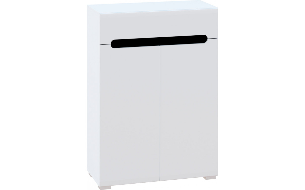 Тумба 2ДШ Б'янко Білий/Чорний - Фото