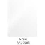 RAL 9003